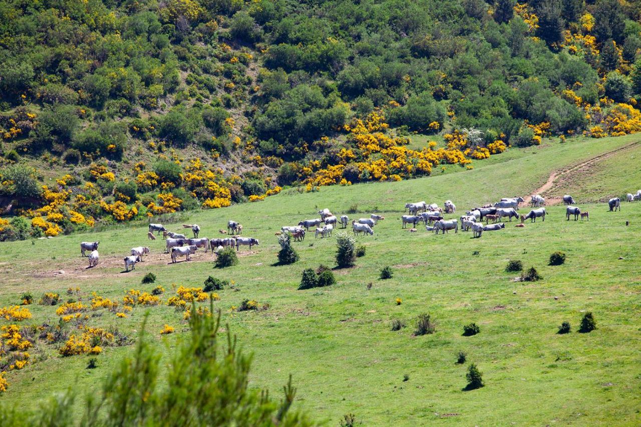 Penzion Casa Rural La Majada De Penacorada Fuentes de Peñacorada Exteriér fotografie